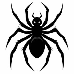 Halloween spider black vector silhouette