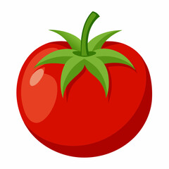 flat illustration of  tomato illustration