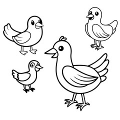 various cartoon birds collection vector