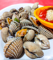 Boiled blood clams served with tomato sauce and seafood seasoning, a traditional Indonesian seafood dish known for its rich flavors and fresh ingredients