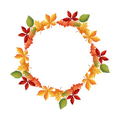 Autumn frame in circle shape on white isolated background. Leaves.