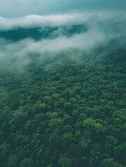 Aerial view of dark green forest with misty clouds. The rich natural ecosystem of rainforest concept of natural forest conservation and reforestation - generative ai