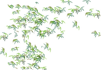 Vector silhouette illustration sketch, detailed design, ornament, ornament, logo, flower, plant icon for site plan layout