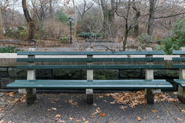 A park bench is empty and covered in leaves