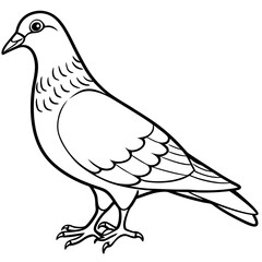 Pigeon silhouette vector art illustration