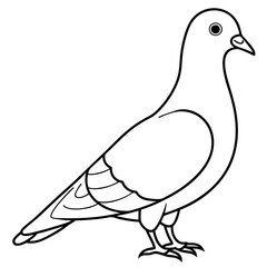 Pigeon silhouette vector art illustration