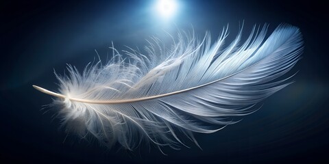 Fototapeta premium Softly lit, delicate white feather isolated on a clean, dark background, showcasing intricate details and gentle curves, symbolizing purity, innocence, and serenity.
