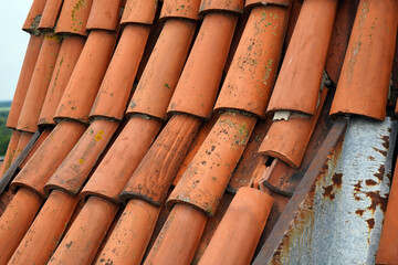 Old shingles close-up on the roof