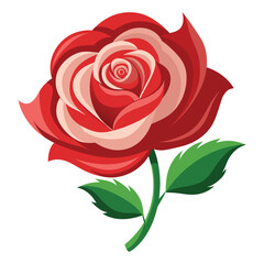 Illustration of red rose isolated on white