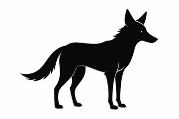 Jackal vector illustration, Jackal jumping isolated on white, Jackal silhouette, Jackal vector art