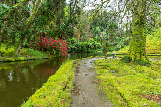 Landscape with peaceful ambiance of Parque Terra Nostra reflective pond, surrounded by Sao Miguel verdant greenery and Azores tranquil charm.