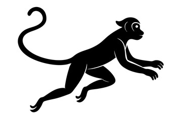 Monkey vector illustration, Monkey jumping isolated on white, Monkey silhouette, Monkey vector art