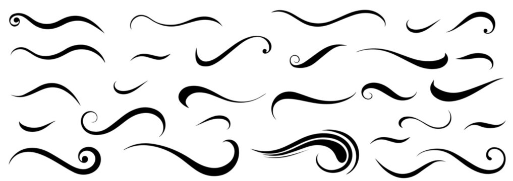 Elegant Decorative Swirls and Flourishes Set. Vector Black Curves for Design
