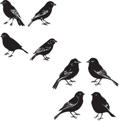 Black silhouette bird on white background