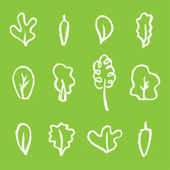 Vegetable plant sketch illustration graphic icons for posters, packaging and name card