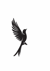 A unique silhouette bird design