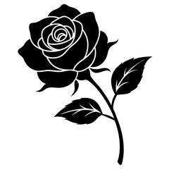 Elegant Rose Flower Vector Illustration for Floral Designs