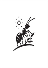 A unique silhouette ant design