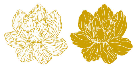 Sketch Floral Botany Collection. Magnolia flower drawings. Gold line art. Hand Drawn Botanical Illustrations outline. gold Vintage flower vector drawing. wedding invitation, card, frame, romantic.   © Tetiana Komarytska