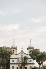 Historic Catholic Church with clock, bells and branches on top. Historic Cathedral.