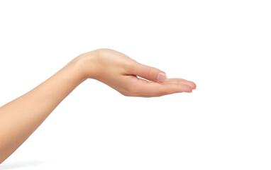 Woman hand gesture holding something on white background