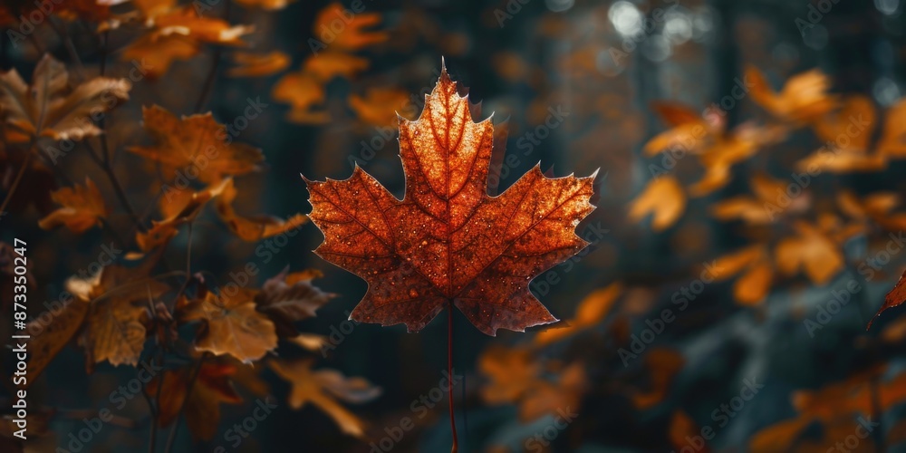 Poster a leaf is on the ground in front of a tree. the leaf is orange and has a shiny surface