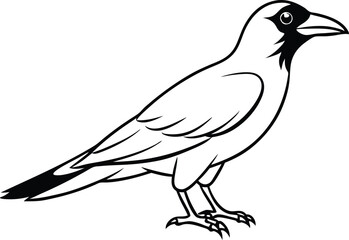 crow isolated on line art vector line art