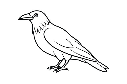 recommend clip art: crow isolated on line art vector line art