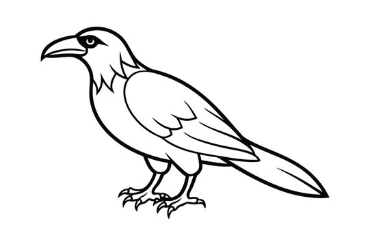 recommend clip art: crow isolated on line art vector line art