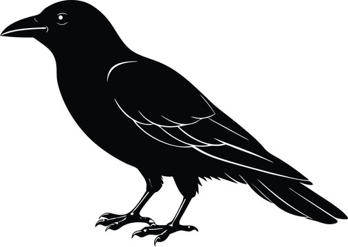 recommend clip art: crow isolated on line art vector
