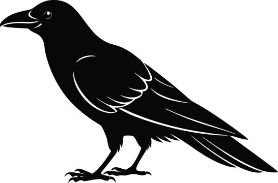 recommend clip art: crow isolated on line art vector