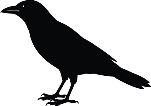 recommend clip art: crow isolated on line art vector