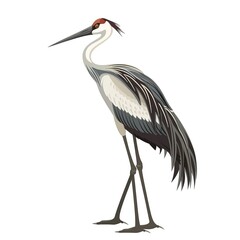 Obraz premium Crane Vintage fashion cartoon isolated whitebackground