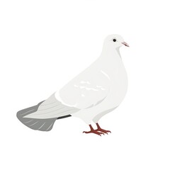 Obraz premium Dove Minimalist fashion cartoon isolated whitebackground