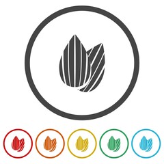 Almond icon. Set icons in color circle buttons