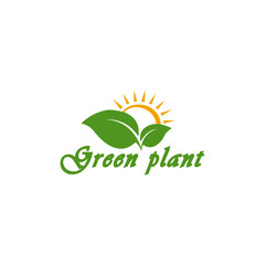 sun rise with leaf logo. green leaf eco logo template - vector