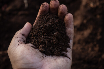 Tierra orgánica  en la mano de un agricultor tradicional 