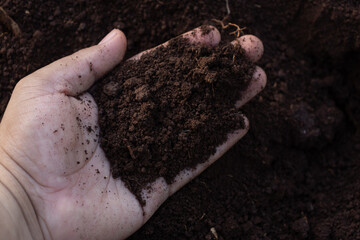 Tierra orgánica  en la mano de un agricultor tradicional 