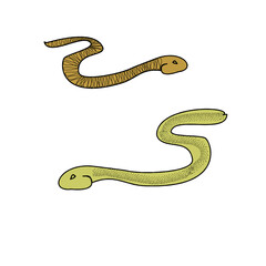 Naklejka premium two snakes, 