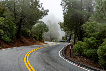 Mountain Road into the Fog