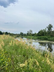 green field with wildflowers and blue sky in the clouds