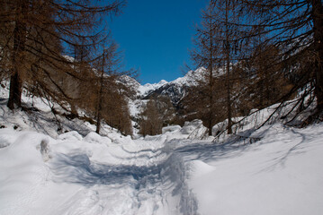 Cogne - Valle d'Aosta