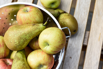 Home grown organic fruit on a rustic wooden table outside