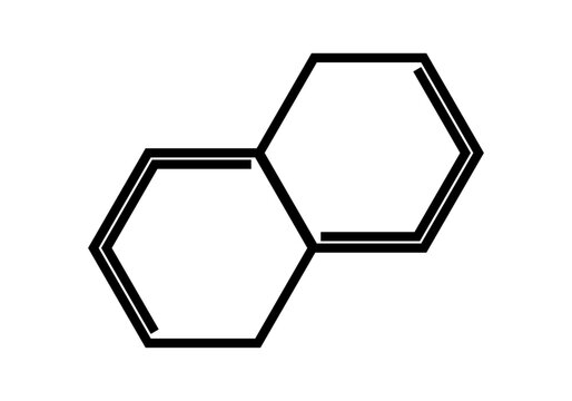 Icono negro de c&eacute;lula vegetal en fondo blanco