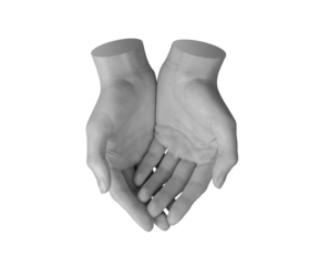 Both hands together holding something invisible, caring gesture, sign isolated on white background., transparent cut out PNG