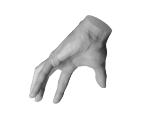 Grabbing, gripping, catching gesture, hand sign isolated on white background., transparent cut out PNG