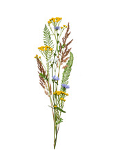 Delicate summer bouqet of wildflowers and herbs isolated on white. Design element for interior decoration, cards, invitations, prints, floral arrangements. © Yuliia