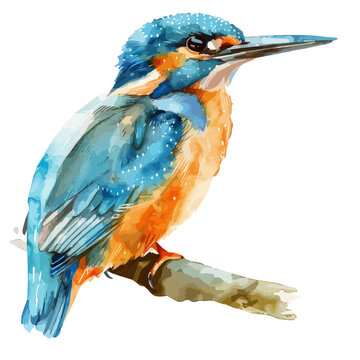 recommend clip art: Watercolor painting of a Kingfisher Bird, isolated on a white background, Kingfisher vector, drawing clipart, Illustration Vector, Graphic Painting, design art, logo