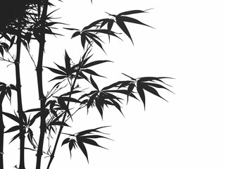 Obraz premium Bamboo leaves, vector illustration style, black and white silhouette on a white background, high resolution, high quality, high detail with simple lines and minimalist details. A close-up of bamboo sh