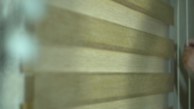 Blinds are curtains used to reduce glare from the sun